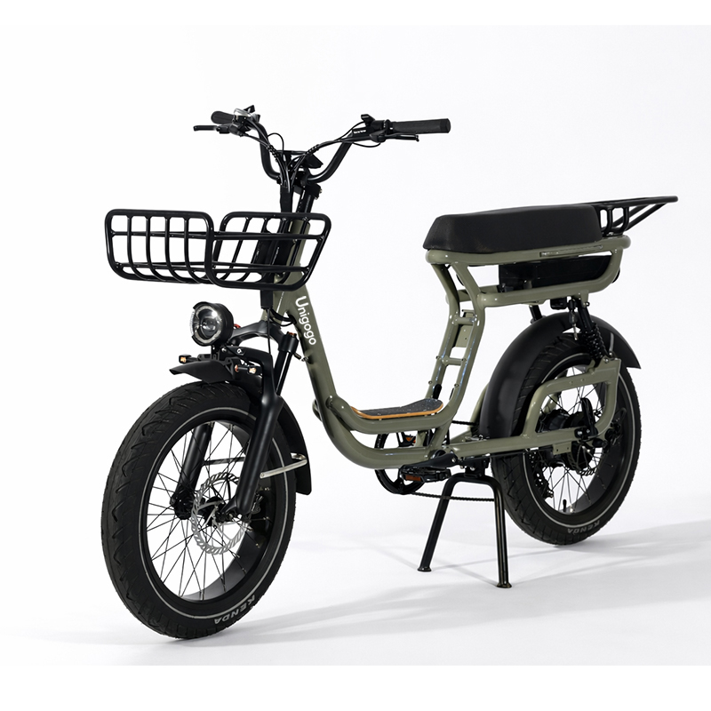 Sepeda Gunung Listrik N3 20 In - Mountain Biking App ulasan dan harga
