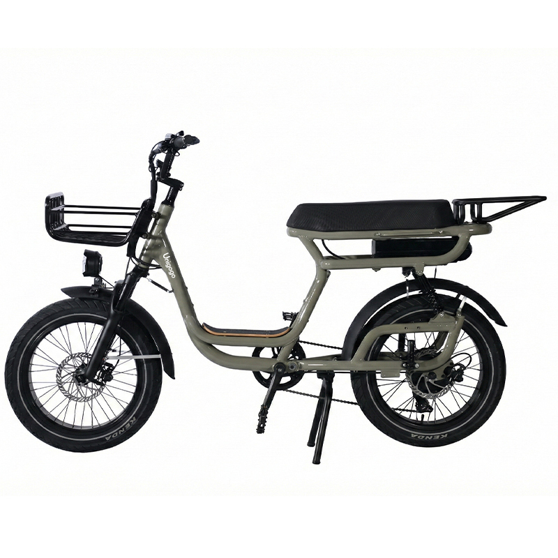 Sepeda Gunung Listrik N3 20 In - Mountain Biking App ulasan dan harga